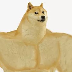 DOGE2