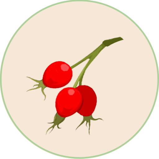 Rosehip Finance
