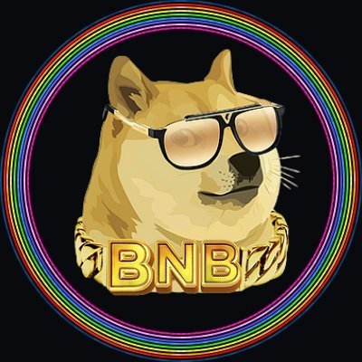 DogeBNB.org