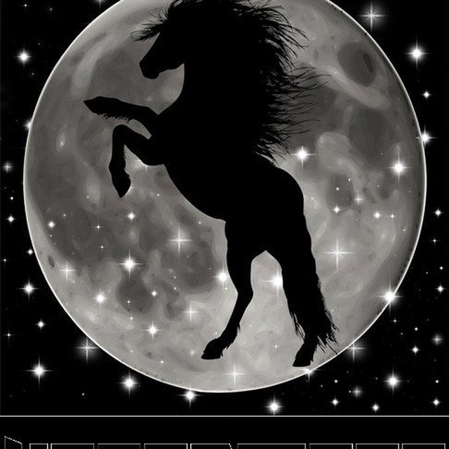 HorseMoon