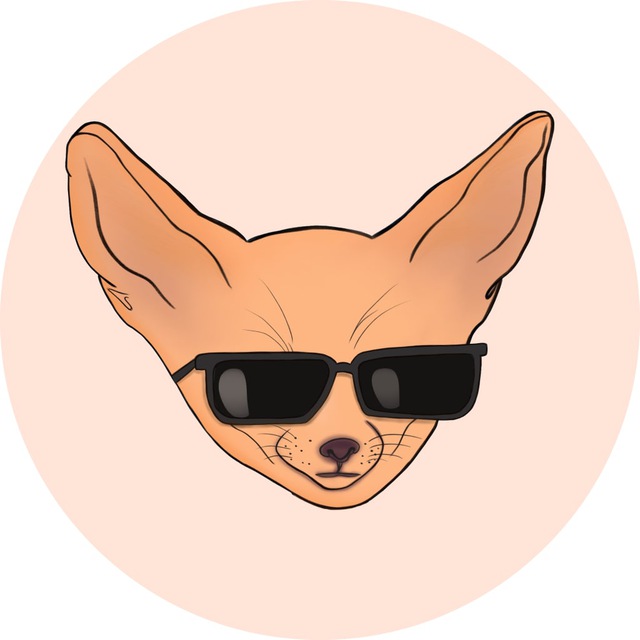 Fennec Fox