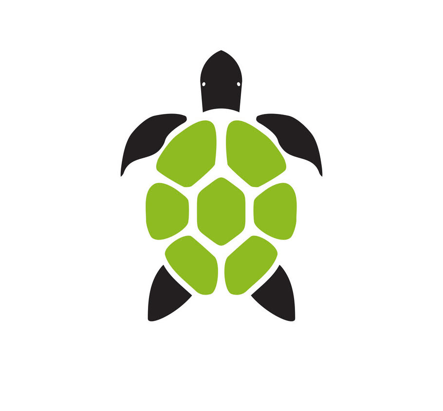 Turtle Try Token