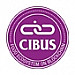 Cibus