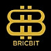 BricBit