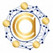 AcuteCoin