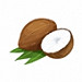 Coconuts