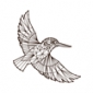 Alcedo