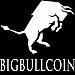 Bigbullcoin