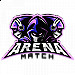 Arena Match