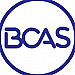 BCA Solutions