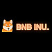 BNB INU