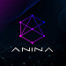 Anina Coin