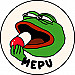 Meme Coin Pump